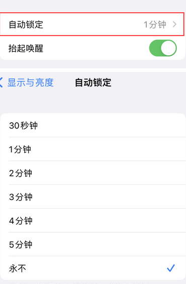 洮南苹果换屏维修分享无法调整iPhone自动锁屏的时间怎么办