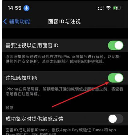 洮南苹果14维修网点分享iPhone14注视感知功能有什么用 